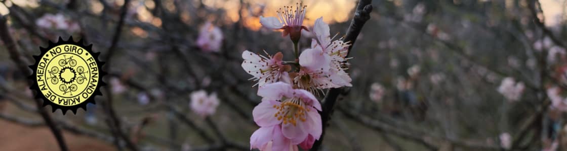 No Giro – SP de Bike