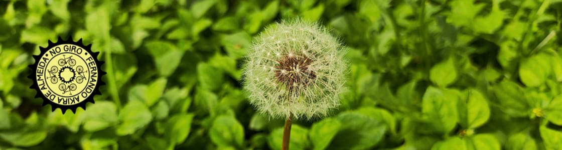 No Giro – SP de Bike